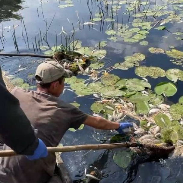 Росіяни скинули отруйні речовини в Сейм: Чи безпечна вода в Києві