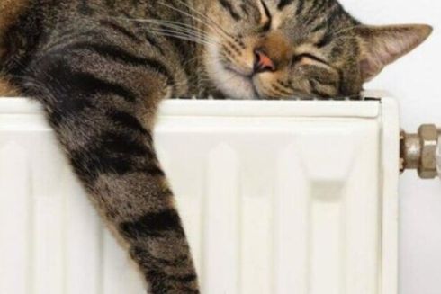 З понеділка у Києві розпочнеться опалювальний сезон у школах, садках та лікарнях