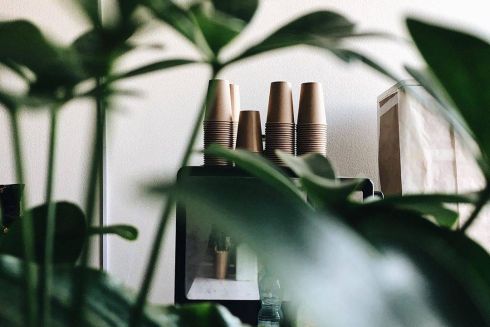 У Києві з'явиться кав'ярня «Ліс», яка працюватиме у форматі без відходів