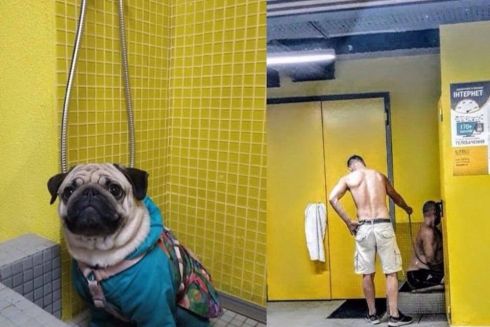 У будинку на Солом'янці встановили душ для собак