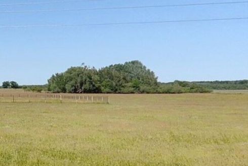 Зеленський підписав закон, який дозволяє залишати у власності незаконно відчужені землі: подробиці