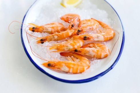 Mushlya Caf&eacute;: новий формат від Діми Борисова