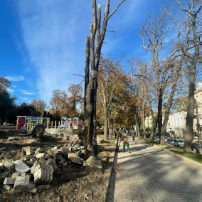 Парк Шевченко после атаки понес убытки более чем на 2 миллиона гривен