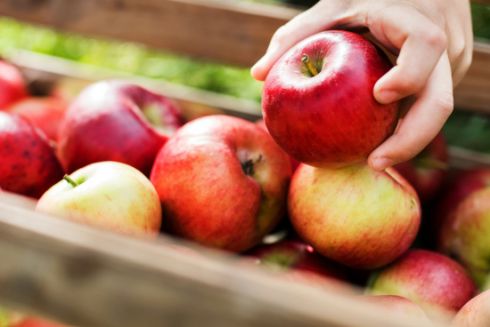 Фермер із Вінниччини перетворює відходи яблук на екостаканчики