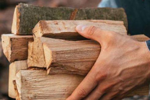 Українці, які опалюють будинки дровами, отримають до 21 тисячі гривень субсидії