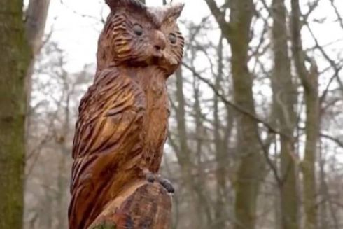 В Голосіївському парку киянин створює артоб’єкти зі спиляних дерев