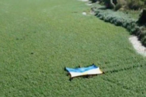 Дно Каховського водосховища заростає вербами і тополями: яка причина