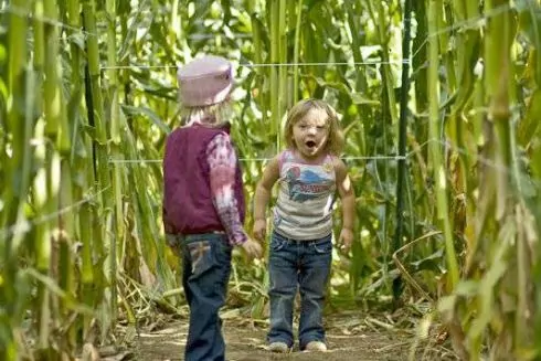 В Киеве откроют агропарк с лабиринтом в кукурузном поле