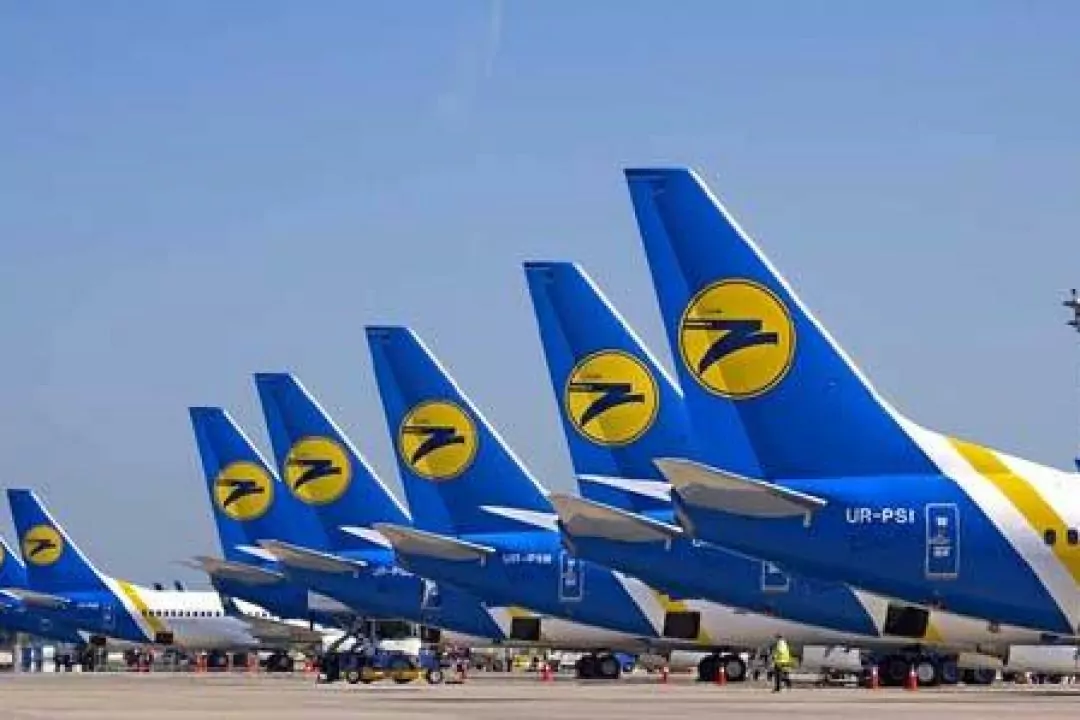 МАУ забороняє перевозити тварин у літаках