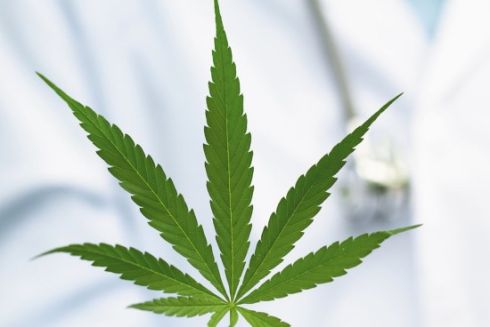 В Україні легалізували медичний канабіс