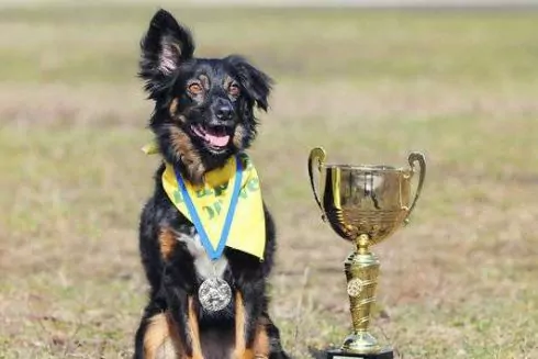 Афиша событий на 1-3 июля