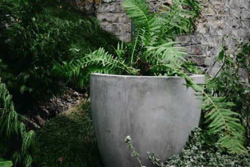 На Подолі організовують pop-up сад