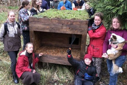 У Львові встановили екодім із зеленим дахом для зимівлі безпритульних котів
