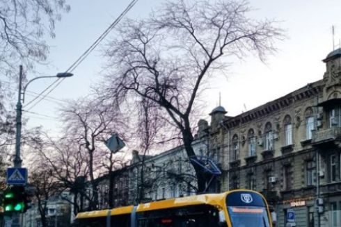 В Одесі почнуть курсувати низькопідлогові трамваї українського виробництва