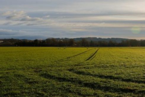 У власність Міноборони повернули землі на Київщині вартістю 100 млн грн