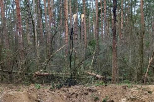 У Києві через ракетну атаку росіян постраждали два ліси