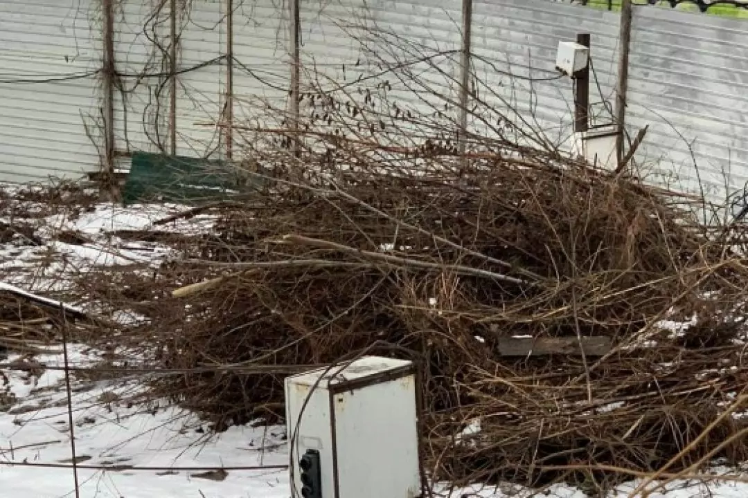 У Літературному сквері в центрі Києва зрубали дерева для будівництва нового ЖК