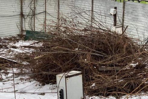 У Літературному сквері в центрі Києва зрубали дерева для будівництва нового ЖК