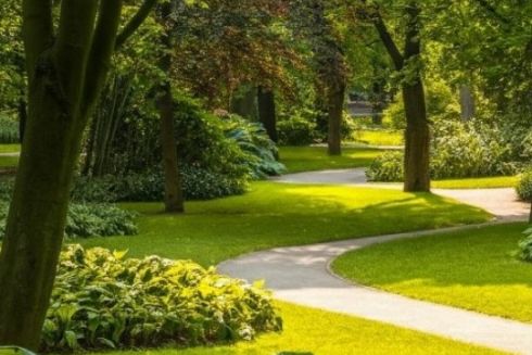 Парк із рекреаційною зоною хочуть облаштувати на Оболоні