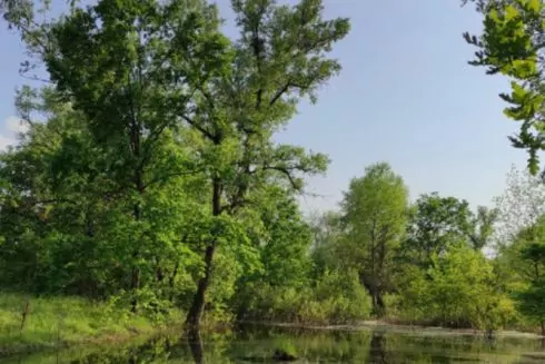 Киевляне призывают защитить Галерный остров от застройки