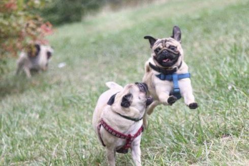 Афиша событий на 8-10 апреля