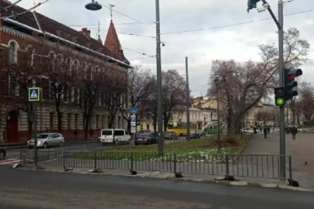 На некоторых улицах Львова вместо уличных заборов высадят кусты