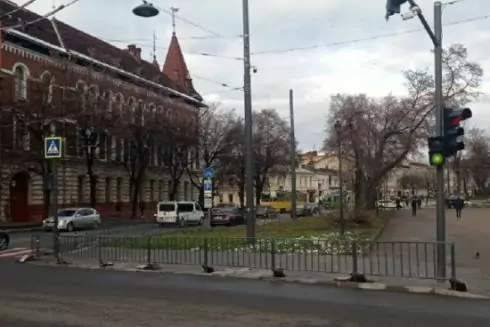 На некоторых улицах Львова вместо уличных заборов высадят кусты