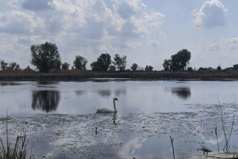 Біля Бортничів у Києві планують створити ландшафтний заказник