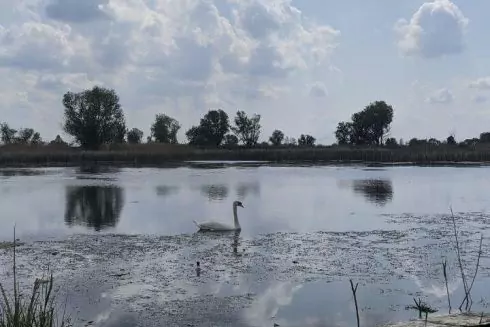 Возле Бортничей в Киеве планируют создать ландшафтный заказник