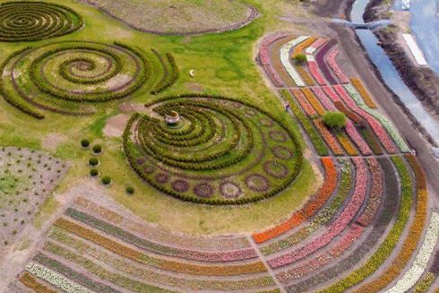 Видео: миллион тюльпанов в «Добропарке» под Киевом с высоты птичьего полета