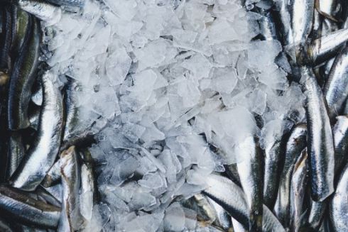 Власниця &ldquo;Чорноморки&rdquo; відкриє в Києві мережу рибних магазинів зі стравами &ldquo;з-під ножа&rdquo;