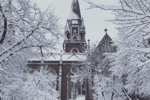 Фото дня: Львів засипало снігом
