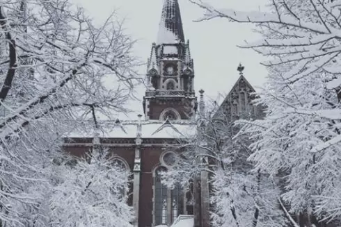 Фото дня: Львів засипало снігом