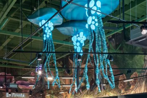 Три супермаркети "Сільпо" увійшли до переліку найкращих магазинів Європи