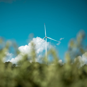 В Полтавской области планируют построить новую ветровую электростанцию