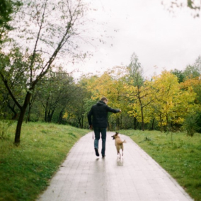 В Голосеевском парке обустраивают площадку для собак