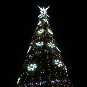 В сквере на Дарнице установят новогоднюю елку и сказочные фотозоны