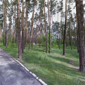 Громаді Києва повернули зелену зону на Оболоні, яку могли забудувати