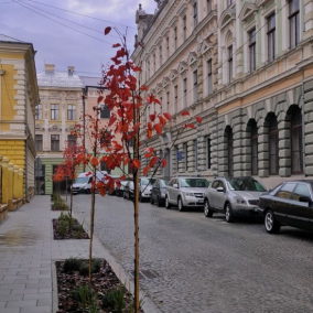 В Черновцах отремонтировали улицу Банковую: как она теперь выглядит