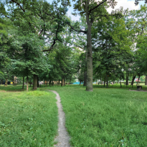 Сквер на Академмістечку хочуть відремонтувати за понад 6,5 млн гривень