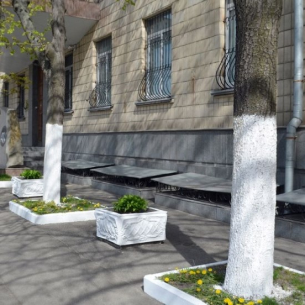 У Львові більше не білять дерева та бордюри: причина