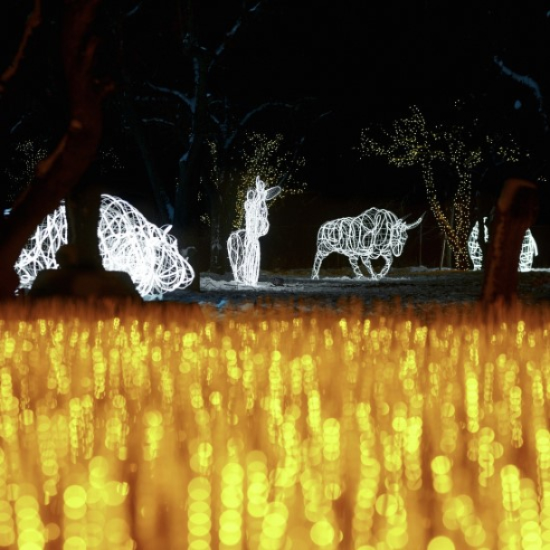 На ВДНГ відкрився парк ілюмінації «Магія Світла»: фото