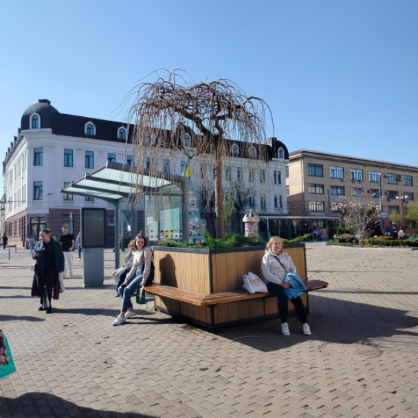 У центрі Вінниці встановлюють великі кашпо з деревами: фото