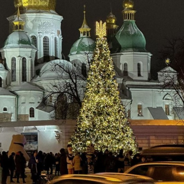 Ялинку на Софійській площі відкриють 6 грудня. Її встановлять за кошт меценатів