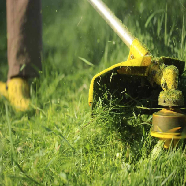 У “Київ Цифровий” з’явилися опитування про косіння трави та якість повітря на районах