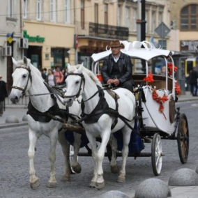 У Львові заборонили використовувати коней і поні в центральній частині міста