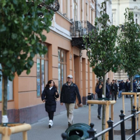 В центре Львова за средства благотворителей высадили более 40 деревьев
