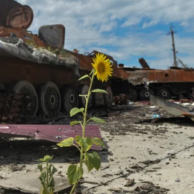 Война с россией поразила более 20% природоохранных территорий Украины