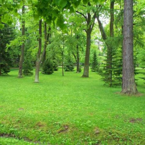 Киевсовет защитил от застройки почти 30 га земли: там обустроят парки и скверы