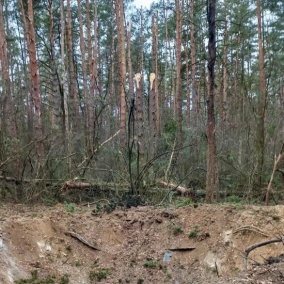 У Києві через ракетну атаку росіян постраждали два ліси